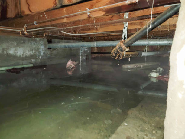 Best Sewage cleanup and water damage restoration  in Watauga, TX